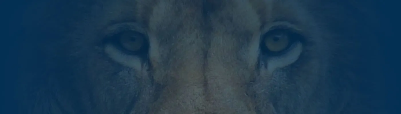 Home Specific Product