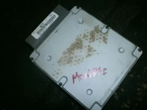 Εγκέφαλος Κινητήρα 98BB12A650BBA για FORD MONDEO (1996 - 2000) Mk2 ΤΕΛΑΡΟ 5*244919 Εγκέφαλος Κινητήρα 98BB12A650BBA για FORD MONDEO (1996 - 2000) Mk2 ΤΕΛΑΡΟ 5*244919