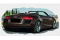 Ανταλλακτικά AUDI R8 (2010- Spyder) Cabrio / 2dr