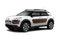C4 CACTUS