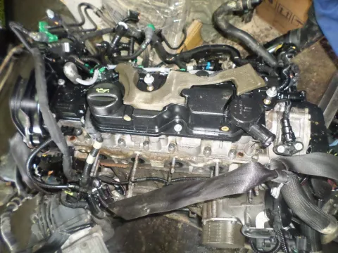 Κινητήρας Κορμός - Καπάκι 9h06 για PEUGEOT 308 (2014 - ) 1600 Diesel e-HDi FAP 115hp Κινητήρας Κορμός - Καπάκι 9h06 για PEUGEOT 308 (2014 - ) 1600 Diesel e-HDi FAP 115hp