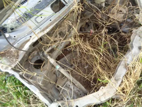 Τροπέτο Πίσω Χωρίς Άξονα Με Θόλουs Και Σασί για SUZUKI IGNIS (2003 - 2008) (RM) *Α* - 