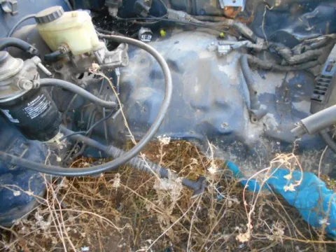 Τροπέτο Εμπρός Δεν Με Μηχανή Και Σασμάν για VW TARO (1989 - 1994) *ΔΒ* -  Τροπέτο Εμπρός Δεν Με Μηχανή Και Σασμάν για VW TARO (1989 - 1994) *ΔΒ* -