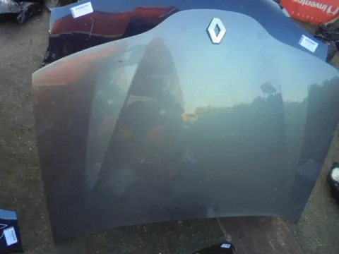 Μούρη (με καπό Χ.Φτερό Δεξί Χ.Φανάρι Δεξί) για RENAULT LAGUNA (2001 - 2005) (BG) (KG) *Γ* - 