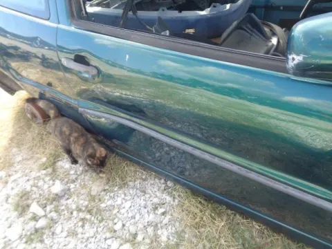 Τροπέτο Αμάξι Ζαντολάστιχα 155/70/13 για VW POLO (1994 - 1999) (6N1) Ηatchback - 5dr 1300 (ADX) Petrol 55 *ΔΒ* -  Τροπέτο Αμάξι Ζαντολάστιχα 155/70/13 για VW POLO (1994 - 1999) (6N1) Ηatchback - 5dr 1300 (ADX) Petrol 55 *ΔΒ* -