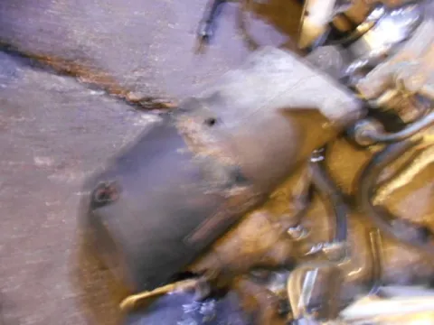 Μίζα για TOYOTA COROLLA (1987 - 1992) (EE90) 1300 (2E) petrol 81 (EE90) 12V Carb. Μίζα για TOYOTA COROLLA (1987 - 1992) (EE90) 1300 (2E) petrol 81 (EE90) 12V Carb.
