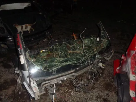 Τροπέτο Εμπρός Κουφάρι για TOYOTA COROLLA VERSO (2004 -2008) (R10) *ΔΒ* - 