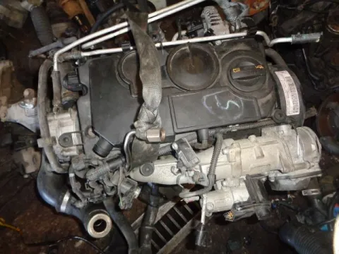 Κινητήρας Κορμός - Καπάκι για VW CADDY (2004 - 2010) (2KA - 2KH) 1900 (BJB) (BLS) Diesel 105 TDI Κινητήρας Κορμός - Καπάκι για VW CADDY (2004 - 2010) (2KA - 2KH) 1900 (BJB) (BLS) Diesel 105 TDI