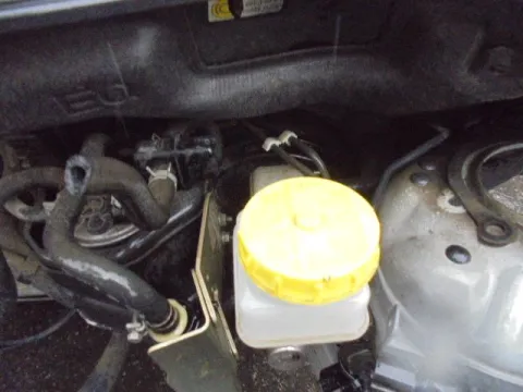 Τροπέτο Εμπρός Κουφάρι για NISSAN X-TRAIL (2001 - 2003) (T30) *ΔΒ* -  Τροπέτο Εμπρός Κουφάρι για NISSAN X-TRAIL (2001 - 2003) (T30) *ΔΒ* -