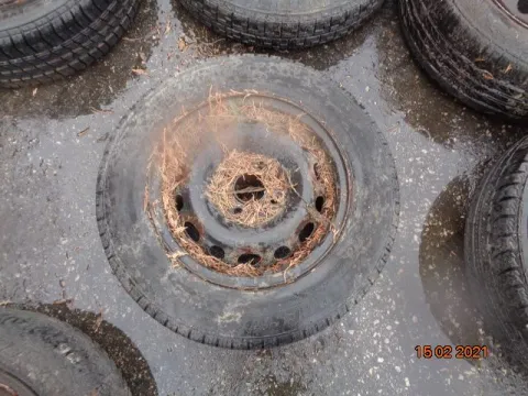 Ζαντολάστιχο 4Χ100 BRIDGESTONE 155/80/R13 για ΔΙΕΘΝΗ *Δ* Ζαντολάστιχο 4Χ100 BRIDGESTONE 155/80/R13 για ΔΙΕΘΝΗ *Δ*
