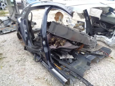 Τροπέτο Πίσω X. Άξονα για RENAULT MEGANE (2008 - 2012) (KZ_) (BZ_) *ΔΒ* -  Τροπέτο Πίσω X. Άξονα για RENAULT MEGANE (2008 - 2012) (KZ_) (BZ_) *ΔΒ* -