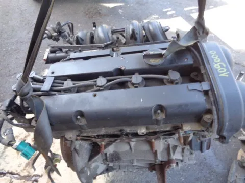 Κινητήρας Κορμός - Καπάκι SNJB για FORD FIESTA (2008 - 2012) Mk6 (JA8) 1251 (- SNJB) Petrol 82 Κινητήρας Κορμός - Καπάκι SNJB για FORD FIESTA (2008 - 2012) Mk6 (JA8) 1251 (- SNJB) Petrol 82