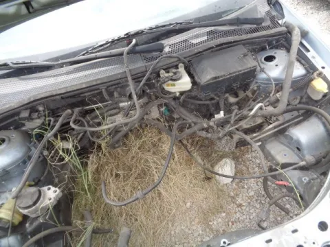 Τροπέτο Αμάξι κουφάρι Χ. Μηχανή Χ. Σασμάν για FORD FOCUS (2002 - 2004) Mk1b (DAW) Hatchback - 5dr *ΔΒ* -  Τροπέτο Αμάξι κουφάρι Χ. Μηχανή Χ. Σασμάν για FORD FOCUS (2002 - 2004) Mk1b (DAW) Hatchback - 5dr *ΔΒ* -
