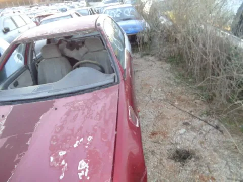 Τροπέτο Αμάξι κομπλέ ΧΩΡΙΣ ΜΗΧΑΝΗ  (D16Z2) ΚΑΙ ΣΑΣΜΑΝ  για HONDA CIVIC (1990 -1992) (EC - D - E - F) Sedan - 4dr 1600 D16Z2 Petrol 110 16 valve *ΔΒ* -  Τροπέτο Αμάξι κομπλέ ΧΩΡΙΣ ΜΗΧΑΝΗ  (D16Z2) ΚΑΙ ΣΑΣΜΑΝ  για HONDA CIVIC (1990 -1992) (EC - D - E - F) Sedan - 4dr 1600 D16Z2 Petrol 110 16 valve *ΔΒ* -