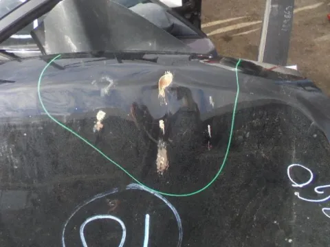 Καπό Εμπρός (Ελαττωματικό) για NISSAN X-TRAIL (2007 - 2011) (T31) *Γ* -  Καπό Εμπρός (Ελαττωματικό) για NISSAN X-TRAIL (2007 - 2011) (T31) *Γ* -