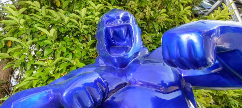 Εγκαταστάσεις 6