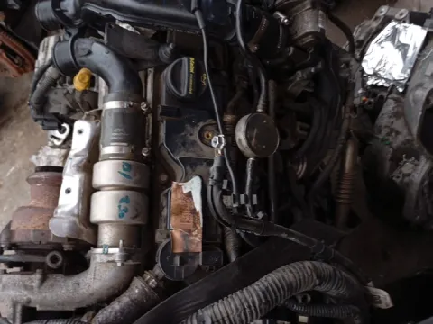 Κινητήρας Κορμός - Καπάκι XXDC για FORD FOCUS (2014 - 2017) 1500 (XXDC) Diesel TDCi 95hp ITALY Κινητήρας Κορμός - Καπάκι XXDC για FORD FOCUS (2014 - 2017) 1500 (XXDC) Diesel TDCi 95hp ITALY