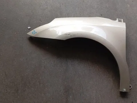 Φτερό Εμπρός Αριστερό για CITROEN C4 (2007 - 2011) 