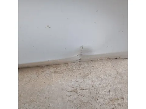 Πόρτα Εμπρός Δεξιά (Όχι Πολύ Καθαρή) για TOYOTA YARIS (2020 - ) (XP210) *Ε* - 