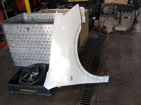 Φτερό Εμπρός Δεξιό για NISSAN QASHQAI (2007 - 2010) (J10) SUV- ΕΚΤΟΣ ΔΡΟΜΟΥ - 5dr 