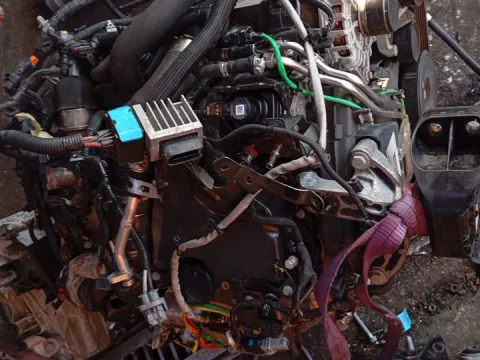 Κινητήρας Κορμός - Καπάκι K9KU872 για NISSAN QASHQAI (2018 - 2021) ( J11) 1500 (K9KU872) Diesel dCi 116hp ITALY