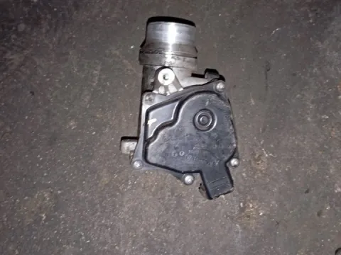 Σώμα Πεταλούδας 161A09287R για RENAULT MEGANE (2008 - 2012) (KZ_) (BZ_) 