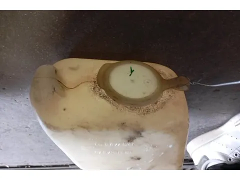 Δοχείο Υαλοκαθαριστήρων Με Μοτέρ για SKODA FAVORIT (1989 - 1994) (781) Hatchback - 5dr  - 