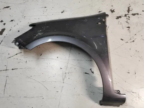 Φτερό Εμπρός Αριστερό για RENAULT CLIO (2009 - 2013) 