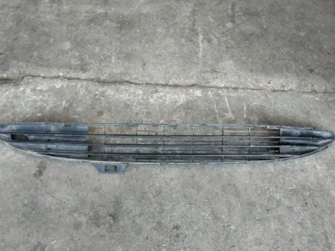 Δίχτυ Προφυλακτήρα Εμπρός Μεσαίο για PEUGEOT 206 (1998 - 2002) (2A) (2C) (T3E) 